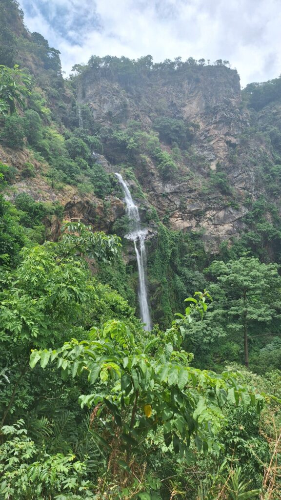 whatsapp image 2026 07 27 at 16.44.17