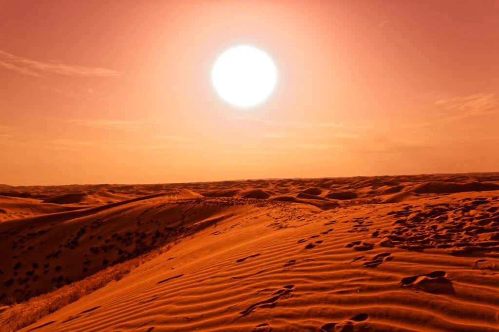 shutterstock 1772692289 min 1024x683